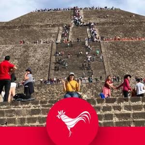 Meet your Posher, Fabiola